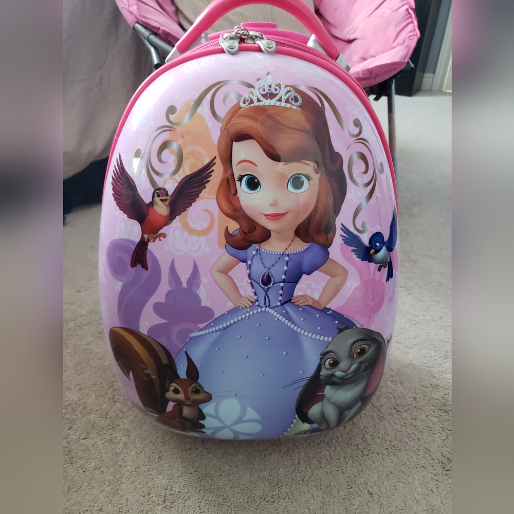 Disney Princess Luggage for Kids